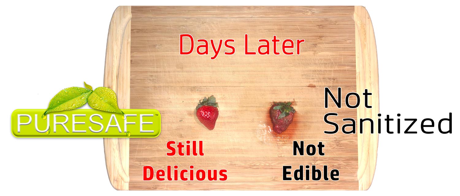 Puresafe-sanitizer-food-stays-fresh-longer-test-2 Did you tell your self to try this test after going to a in a health food store near me along and get some PureSafe Coronavirus disinfectant which is always available in the Sarasota health food store, Earth Origins Market located at at 1930 Stickney Point Rd Sarasota FL 34231 and then try this test for yourself so you can be a healthier you.