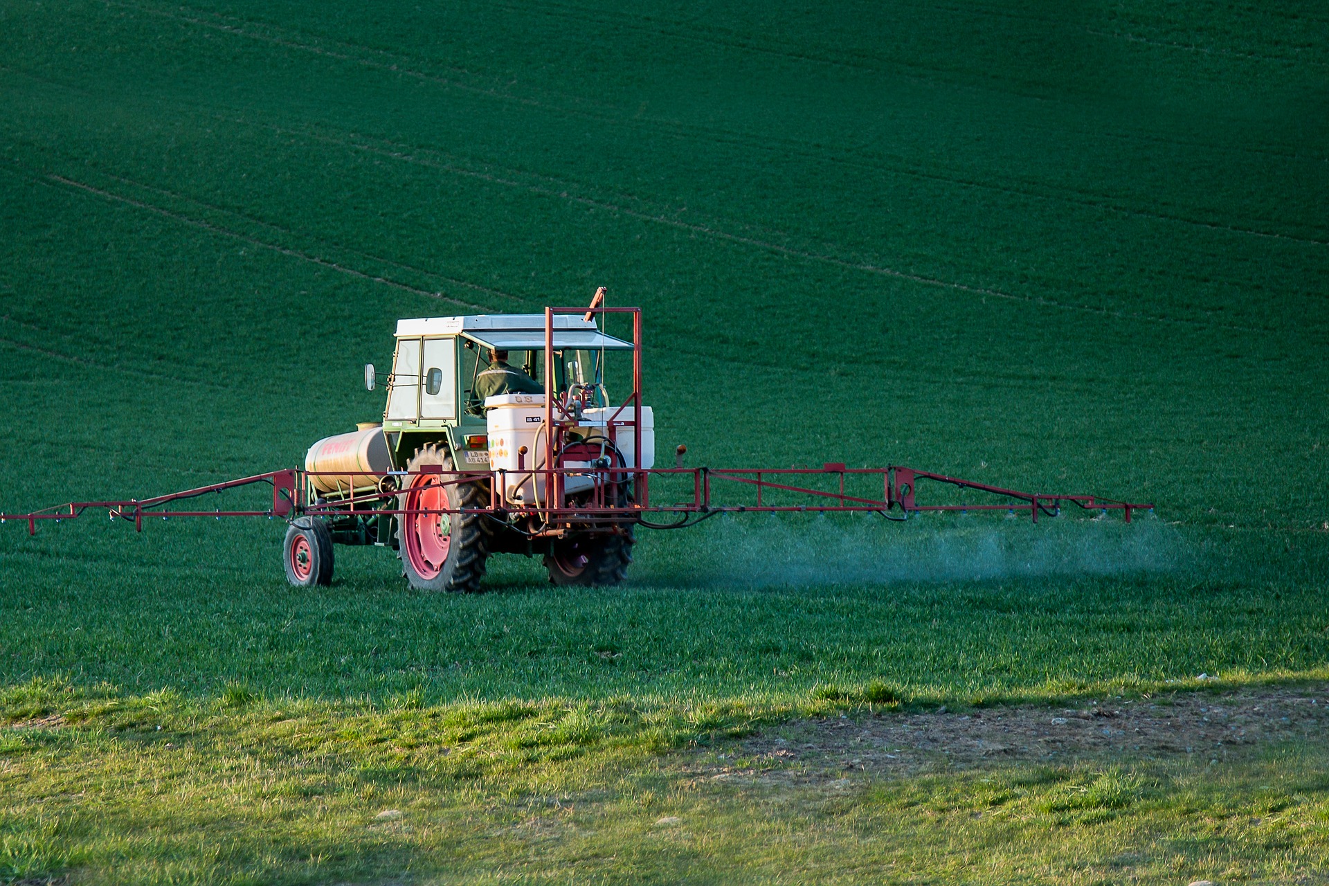 toxic pesticides in fruits and vegetables